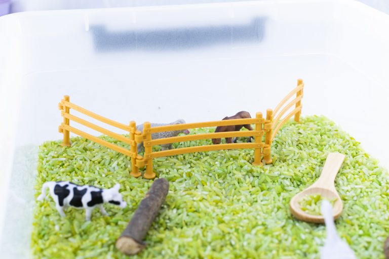 Speelset Boerderijleven close up
