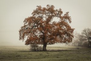 Blog over Floorplay: Speel je kind naar een gezonde ontwikkeling!